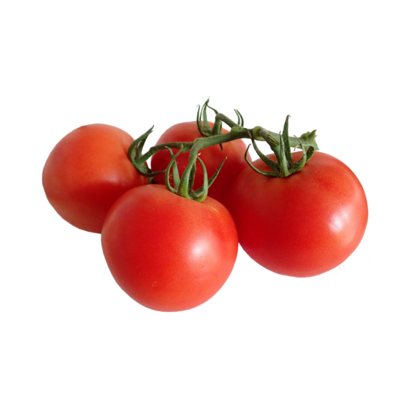 fresh tomato