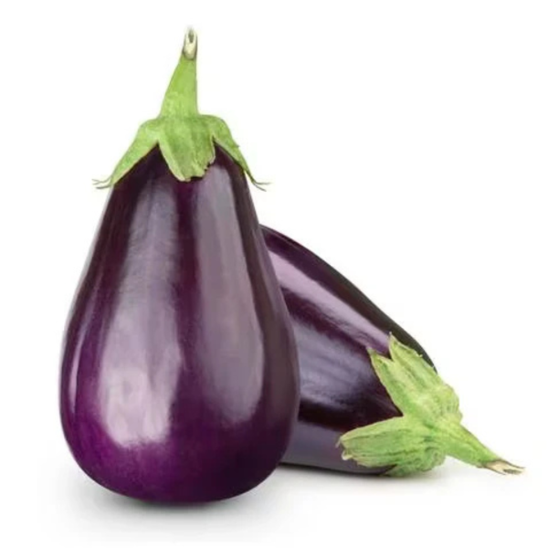 Export Eggplant